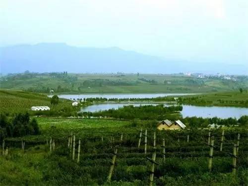 無(wú)為縣石澗鎮(zhèn)最新發(fā)展規(guī)劃詳解，初學(xué)者與進(jìn)階者的指南
