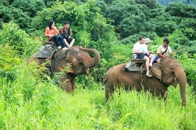 清邁旅游、發(fā)展與文化的最新交融動(dòng)態(tài)揭秘