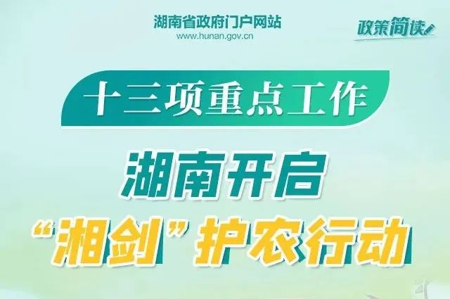 海安出國工作最新招聘，小巷中的獨特機遇，探索出國工作新篇章！