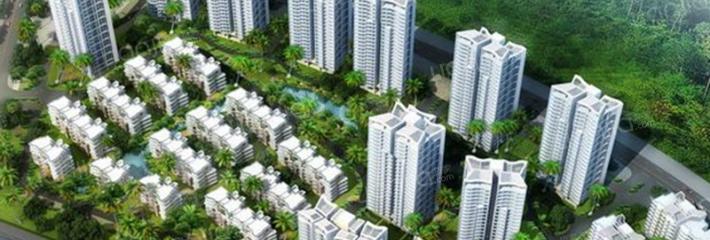 時分亞龍灣最新動態(tài)更新，揭秘最新發(fā)展動態(tài)