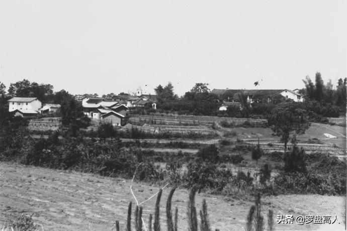 河源紫金古竹最新動(dòng)態(tài)，探索與體驗(yàn)新發(fā)現(xiàn)